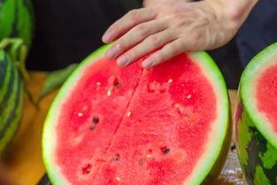 通辽学校吃瓜,揭秘校园里的那些事儿  第2张